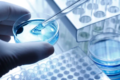 中國干細(xì)胞公司排名前十名 引領(lǐng)細(xì)胞技術(shù)研發(fā)與應(yīng)用的創(chuàng)新力量