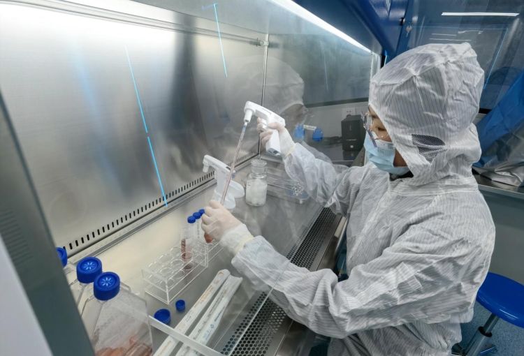 深圳細胞產(chǎn)業(yè)迎來新引擎 “大灣區(qū)國際綜合細胞庫與區(qū)域制備中心”揭牌，加速技術(shù)研發(fā)與應(yīng)用