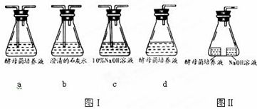 基因工程與植物細(xì)胞工程的核心技術(shù)及應(yīng)用